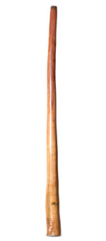 Tristan O'Meara Didgeridoo (TM512)